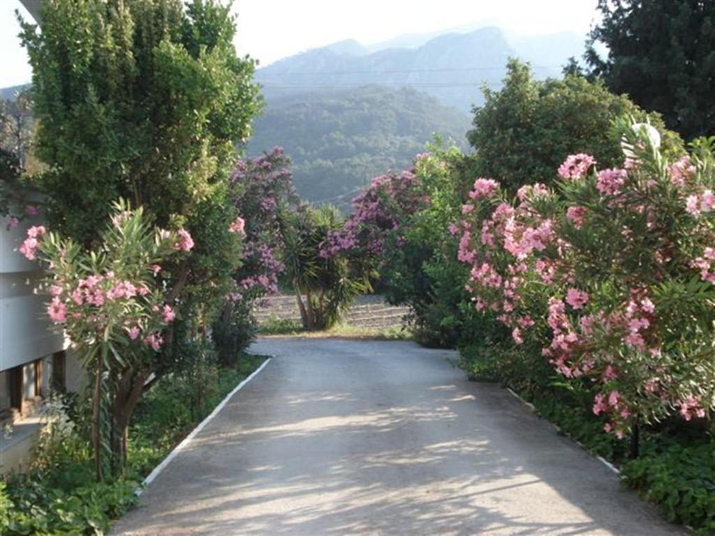 Venus Hotel Samos Island Exterior photo